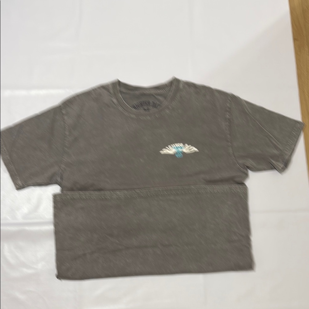 WASHED Gray T-Shirt by Brighter Days Size M New without tag. - Picture 5 of 5